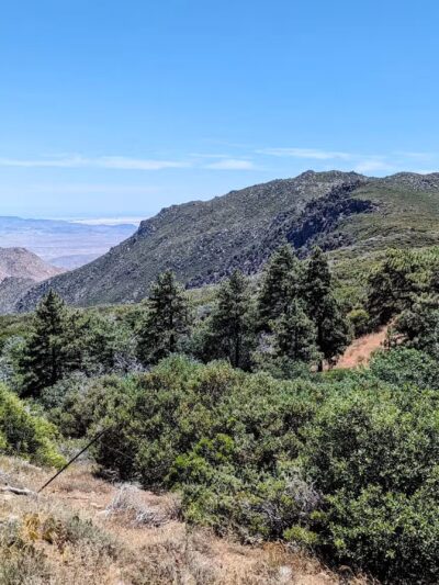 Desert View Trail - Mt Laguna, CA