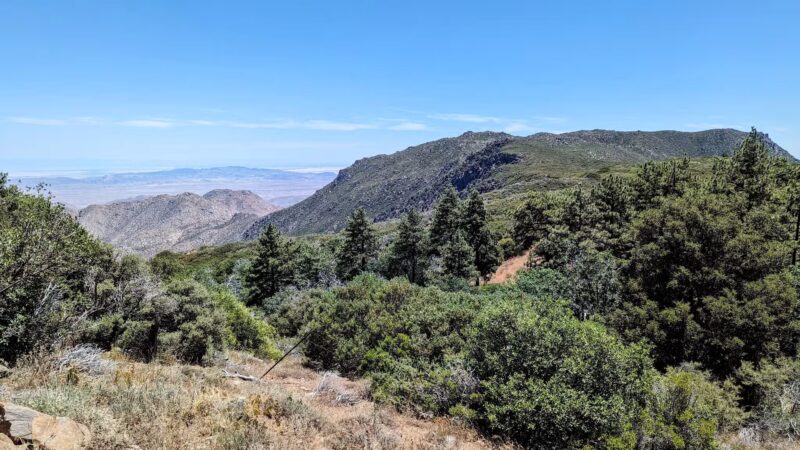 Desert View Trail - Mt Laguna, CA
