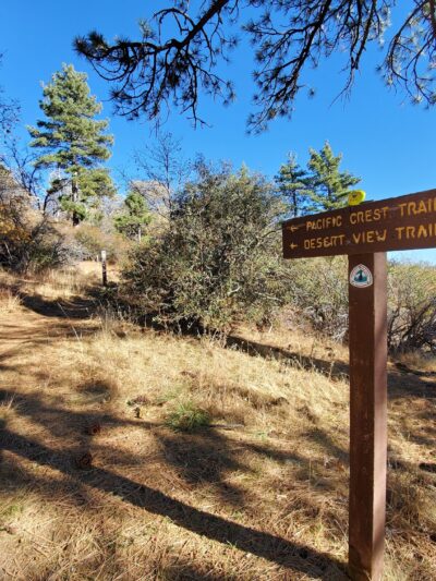 Desert View Trail - Mt Laguna, CA