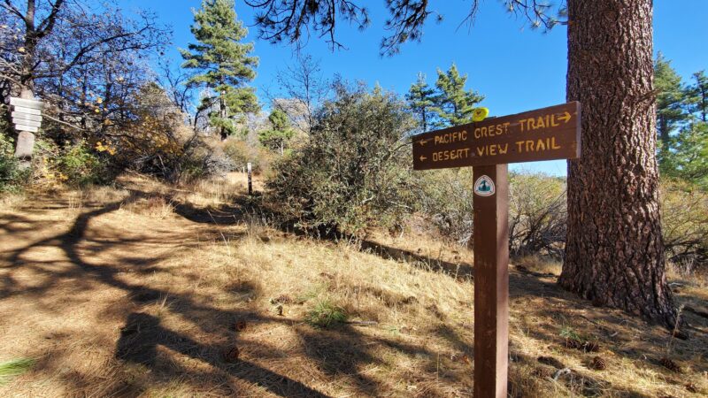 Desert View Trail - Mt Laguna, CA
