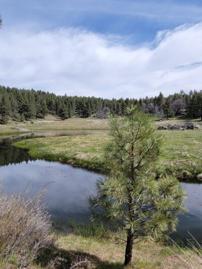 Sunset Trailhead - Mt Laguna, CA