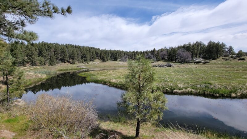 Sunset Trailhead - Mt Laguna, CA