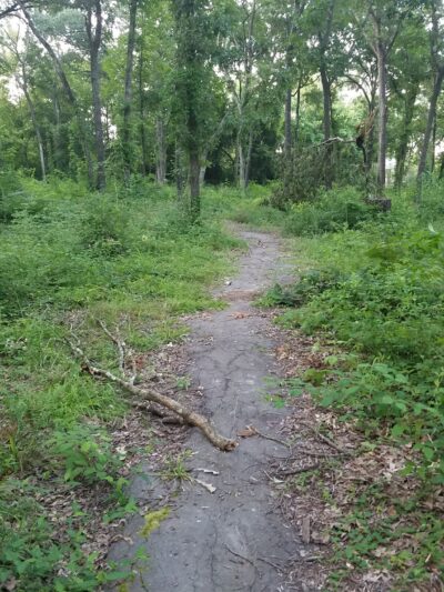 R.L. Jurney Park - Mt Pleasant, TX