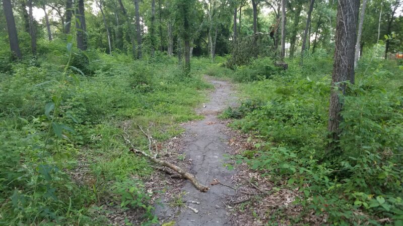 R.L. Jurney Park - Mt Pleasant, TX