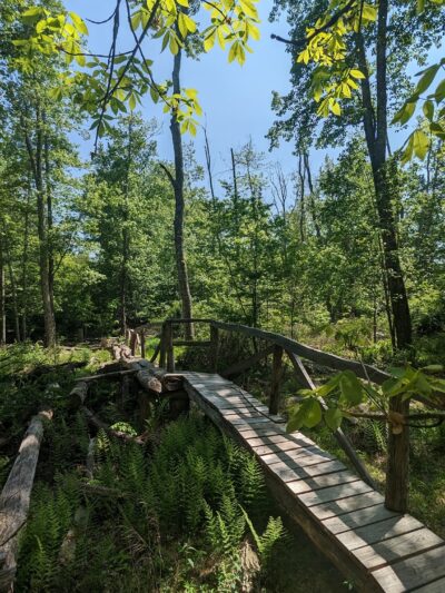 Knauf preserve trailhead - Mt Pocono, PA