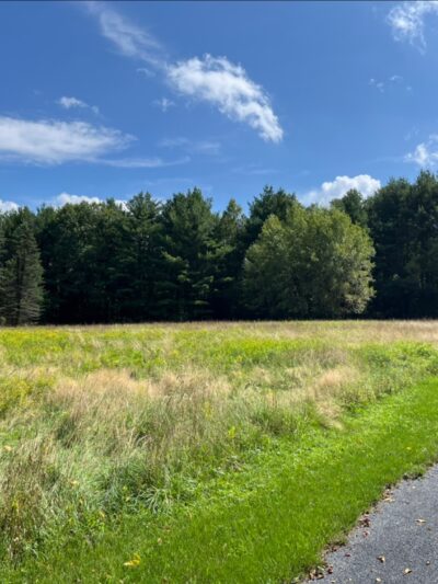 Knauf preserve trailhead - Mt Pocono, PA