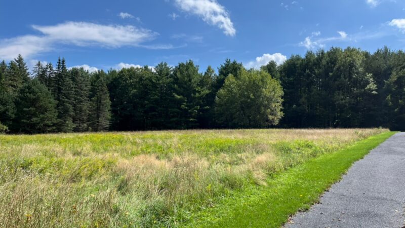 Knauf preserve trailhead - Mt Pocono, PA