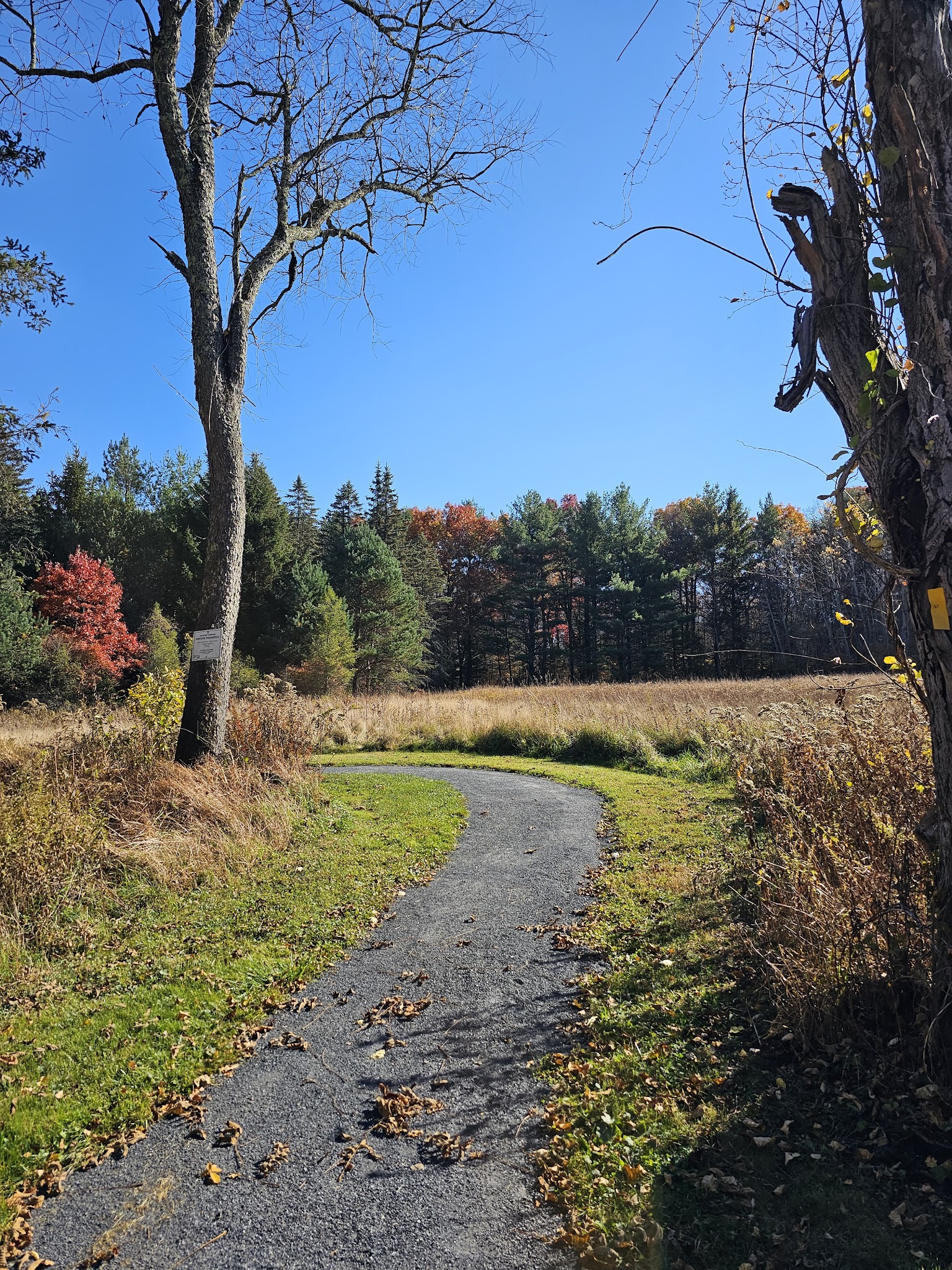 Knauf preserve trailhead - Mt Pocono, PA | Bark Park Finder