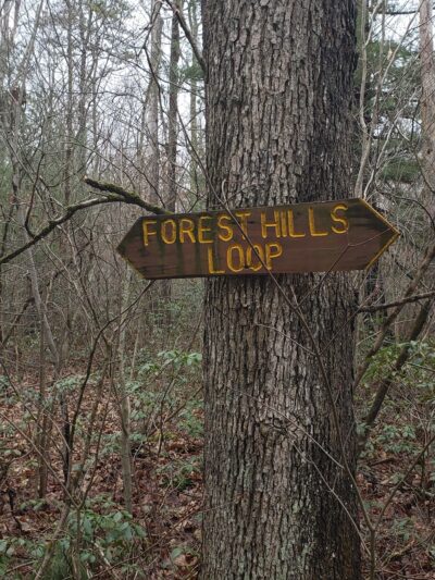 Merry Hill Trail - Mt Pocono, PA