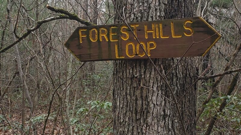 Merry Hill Trail - Mt Pocono, PA