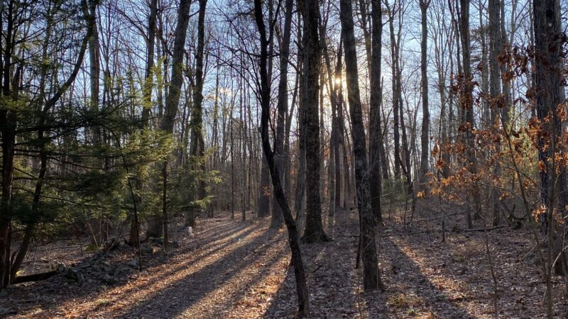Merry Hill Trail - Mt Pocono, PA