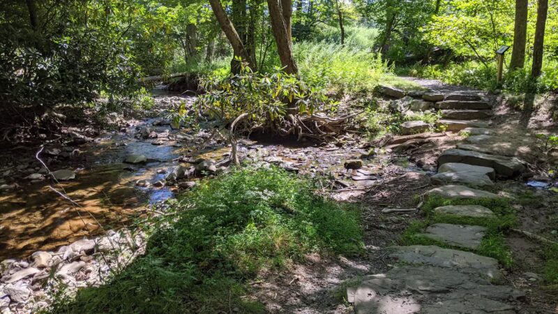 Woodland Trail - Mount Airy Trail Network - Mt Pocono, PA