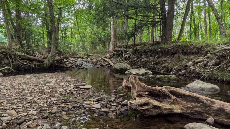 Woodland Trail - Mount Airy Trail Network - Mt Pocono, PA