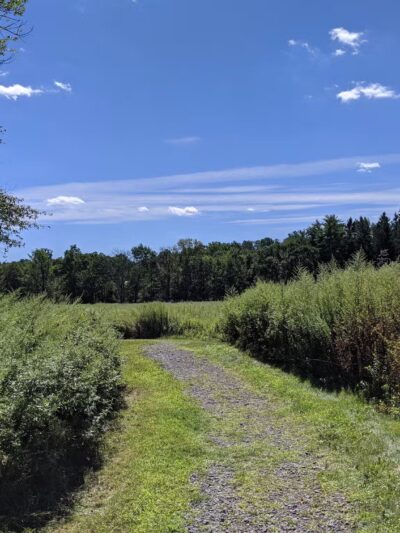 Woodland Trail - Mount Airy Trail Network - Mt Pocono, PA