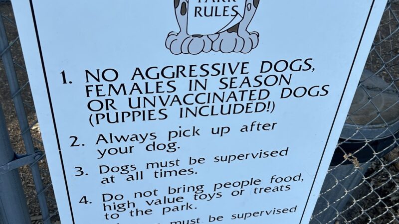 Shastice dog park - Mt Shasta, CA