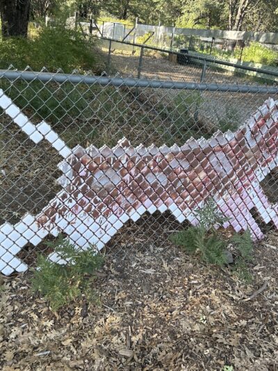 Shastice dog park - Mt Shasta, CA