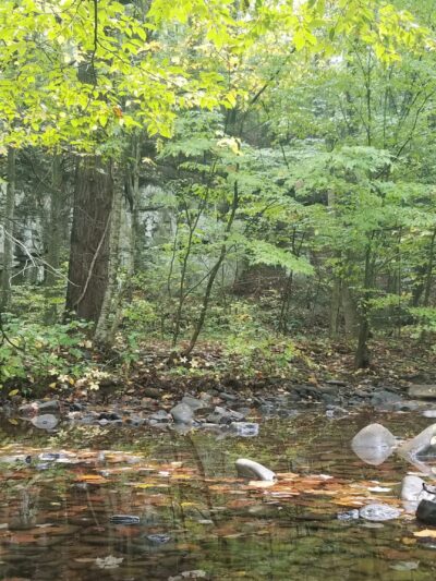 North River Campground - Mt Solon, VA