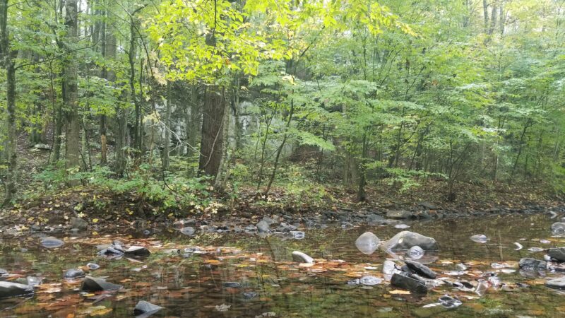 North River Campground - Mt Solon, VA