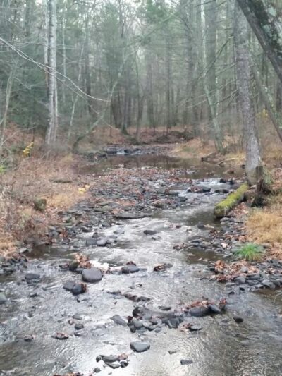 North River Campground - Mt Solon, VA