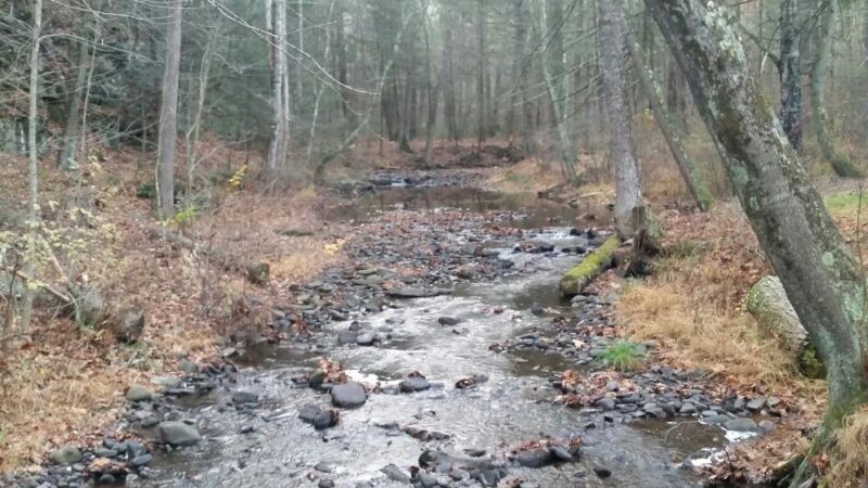 North River Campground - Mt Solon, VA