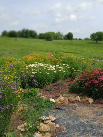 Botts Park - Mt Sterling, KY