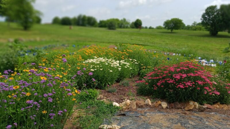 Botts Park - Mt Sterling, KY