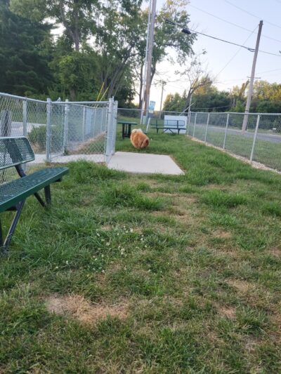 Dog Park at Love's Travel Stops - Mt Vernon, IL