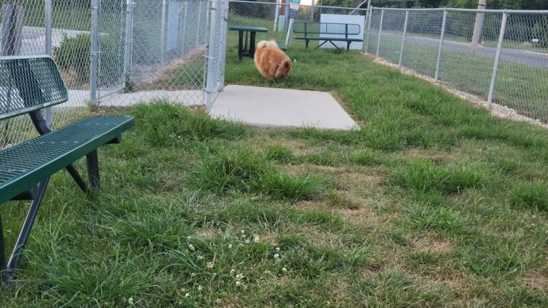 Dog Park at Love's Travel Stops - Mt Vernon, IL