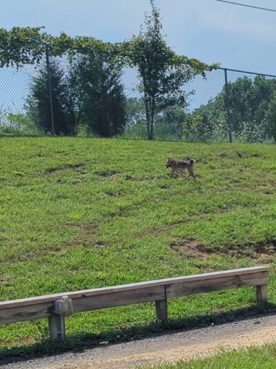 Frank Cornell Park - City of Mt Washington - Mt Washington, KY