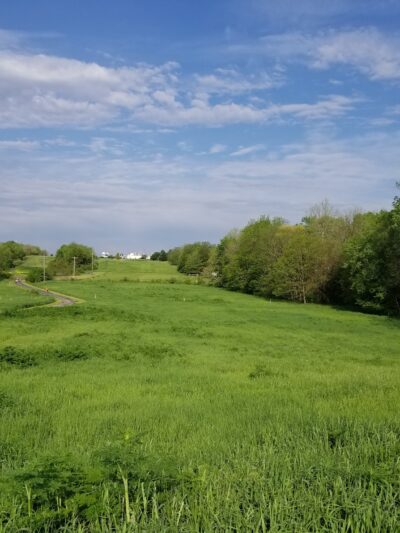 Goodwin Park - Mt Zion, IL