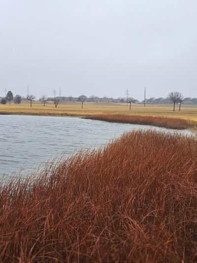 Muleshoe City Park - Muleshoe, TX