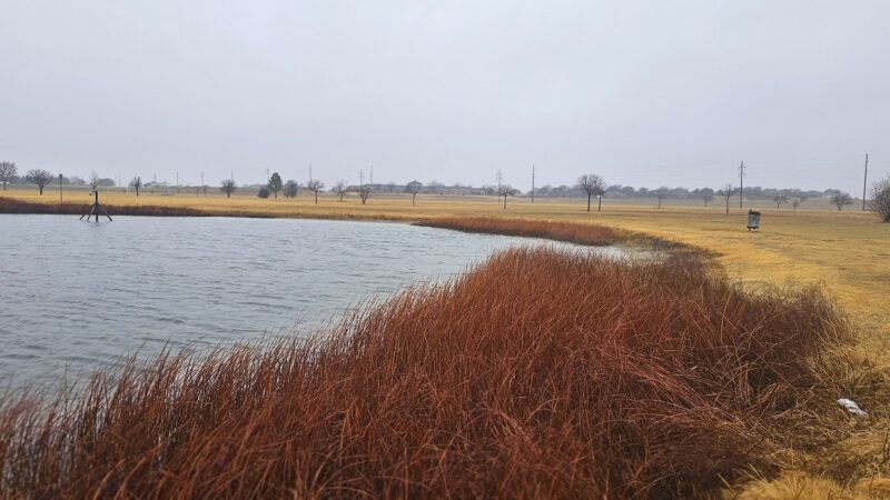 Muleshoe City Park - Muleshoe, TX