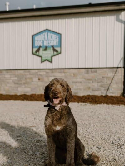 Hidden Acres Dog Resort - Mulvane, KS
