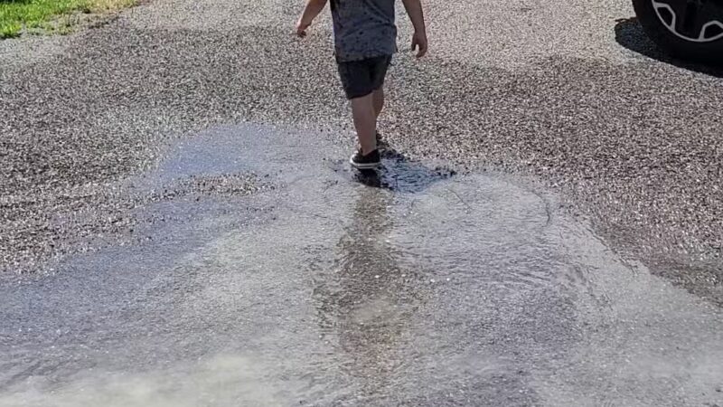 Freeman Park - Mumford, NY