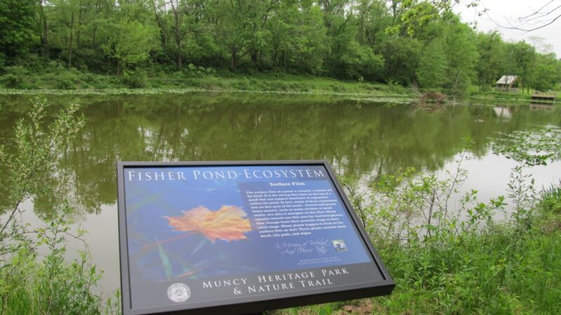 Muncy Heritage Park and Nature Trail - Muncy, PA