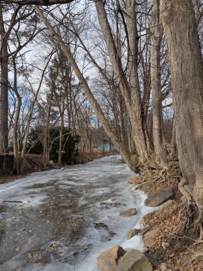 Margaret E. Waldron Park - Muncy, PA
