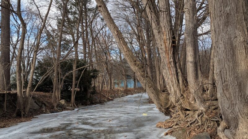 Margaret E. Waldron Park - Muncy, PA