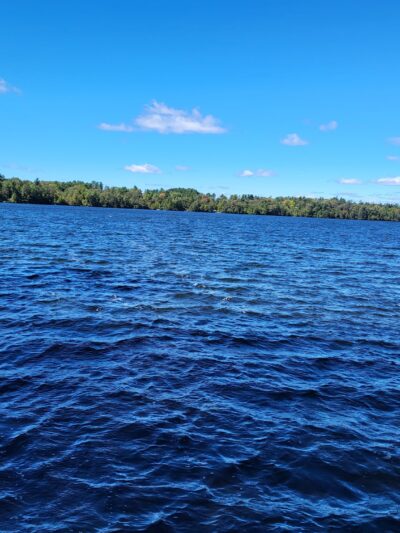The Laurel Path - Muncy Valley, PA