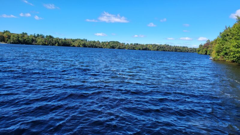 The Laurel Path - Muncy Valley, PA