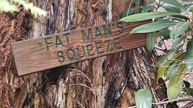 The Laurel Path - Muncy Valley, PA