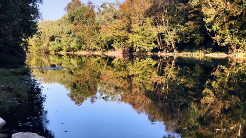 Green River Park & Arboretum - Munfordville, KY