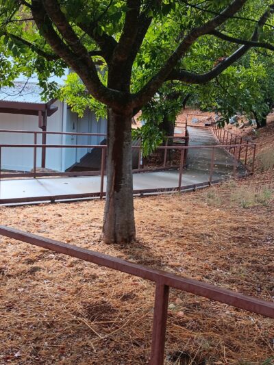 Feeney Park - Murphys, CA