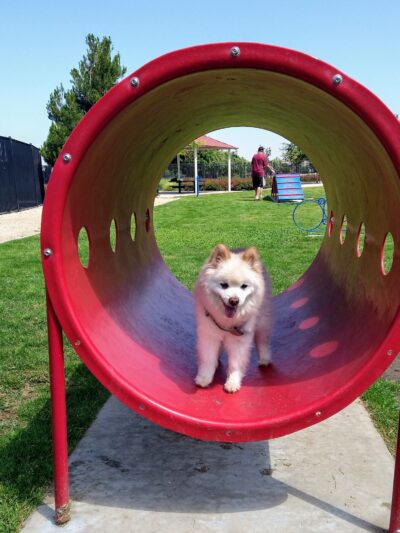 Heroes Park, Valley-Wide Recreation and Park District - Murrieta, CA