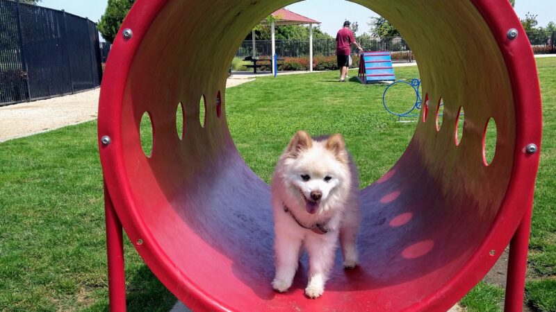 Heroes Park, Valley-Wide Recreation and Park District - Murrieta, CA