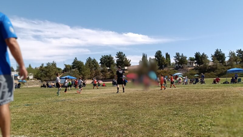 Torrey Pines Dog Park - Murrieta, CA