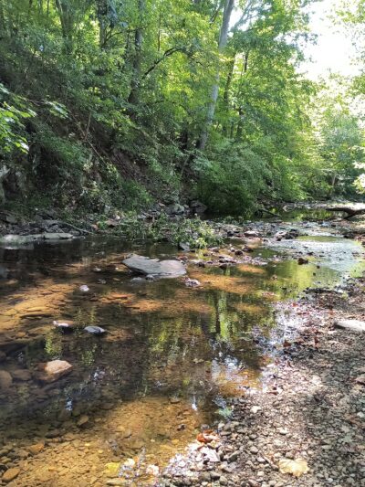 Doub's Meadow Park - Myersville, MD