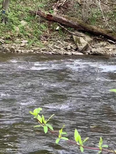 Doub's Meadow Park - Myersville, MD