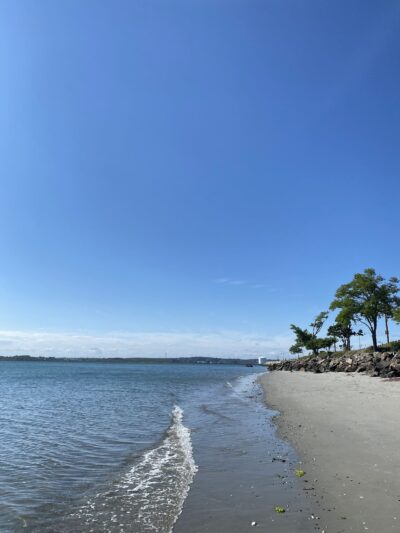 Doggie Beach - Nahant, MA