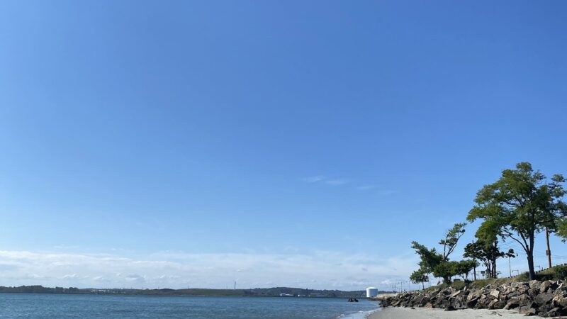 Doggie Beach - Nahant, MA