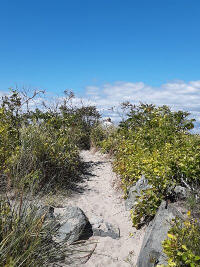 Doggie Beach - Nahant, MA
